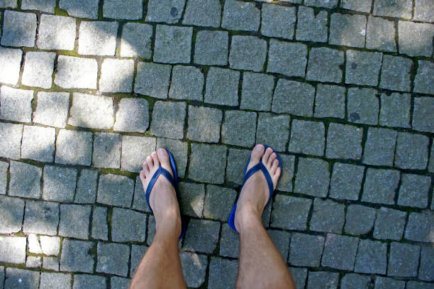 2019 summer