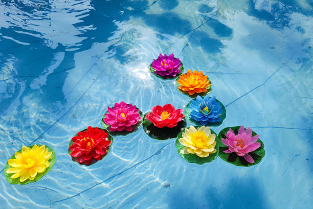 colorful of plastic lotus flowers on the water in basin - plastic poppy imagens e fotografias de stock