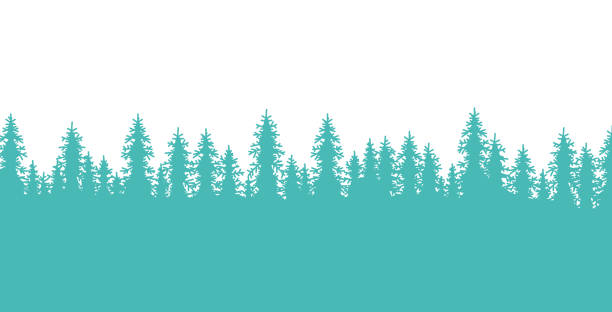 Pine Forest Tree-Lined Border Pine tree forest lined border element design. treelined stock illustrations