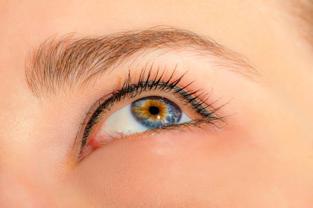 istock Female eye with long eyelashes and professional make-up close-up macro 1129173114