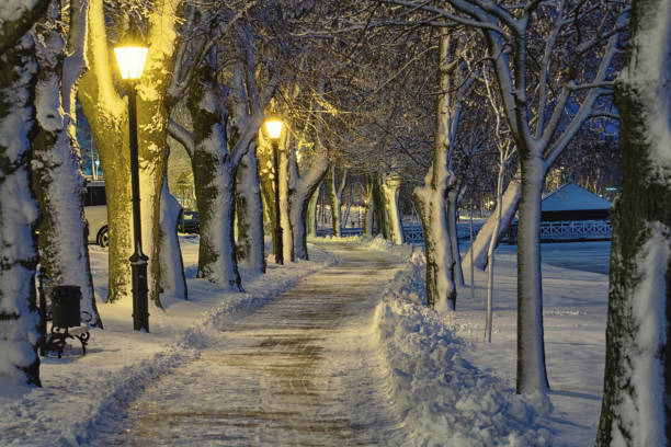 istock way through the park in winter 1129173147
