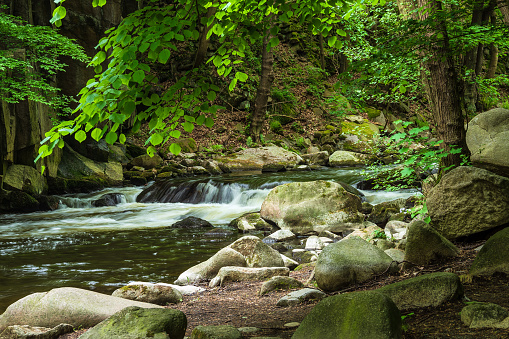 Landscape with river Bode in the Harz area, Germany