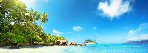istock Seychelles Islands. Palm Beach In Tropical Paradise 1129174102