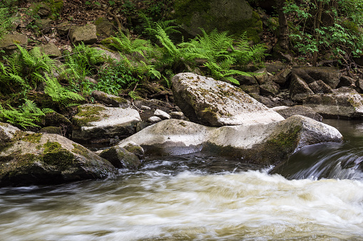 Landscape with river Bode in the Harz area, Germany