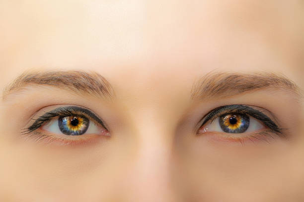 istock Female eyes with long eyelashes and professional make-up close-up macro 1129174676