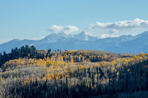 Guardsman Pass and Aspens at Peak Color, Park City, Utah in the Colorado Rocky Mountains