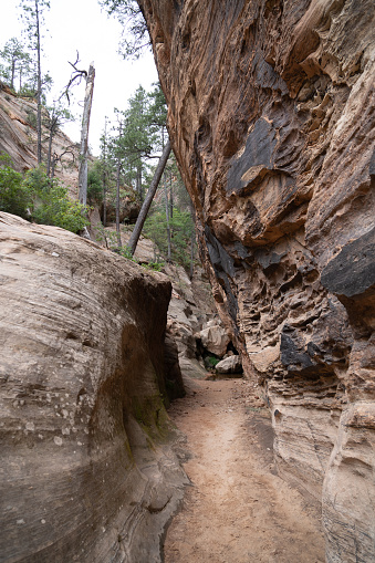 Hidden Canyon trail hike in Zion National Park on an overcast summer day. The hike features steep drop offs with chains