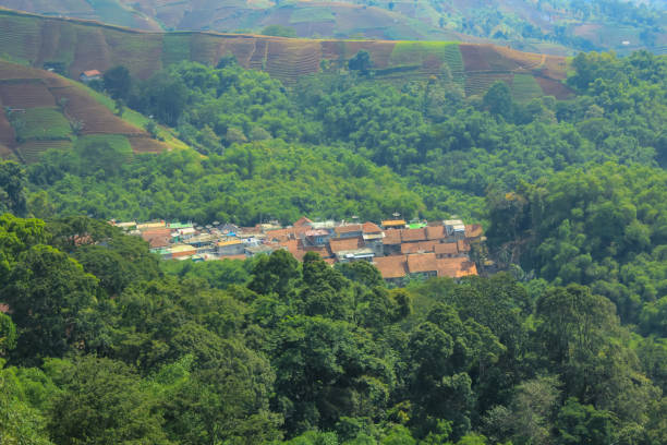 istock rice paddy field valley mountain tropical 1129179720