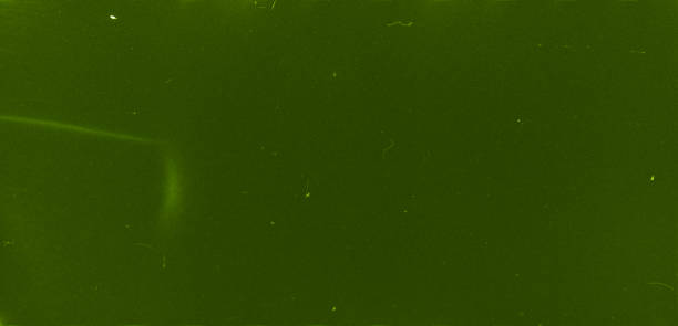 istock Green Abstract film texture 1129181991