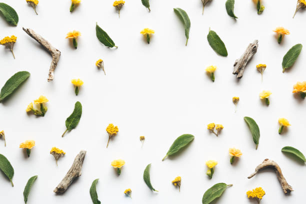 istock Spring Background With Yellow Flowers And Green Leaves 1129182107