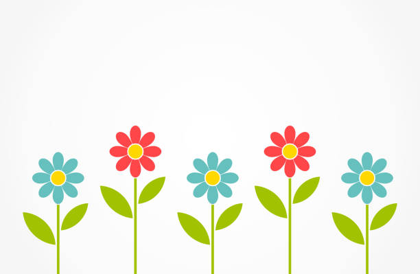 Colorful Spring Daisy Flowers Background Stock Illustration - Download  Image Now - Daisy, Flower, Vector - iStock