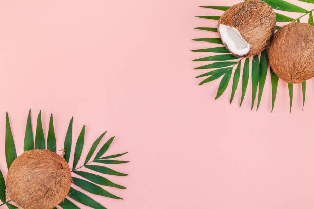 istock Palm leaves and coconuts on pink pastel background 1129183710