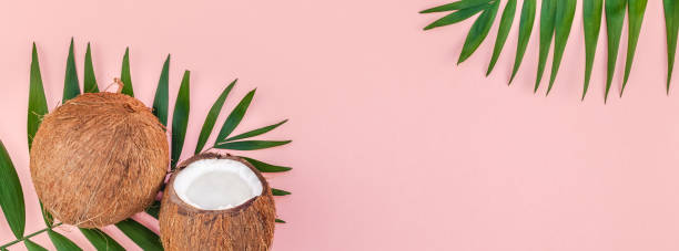 istock Palm leaves and coconuts on pink pastel background 1129183720
