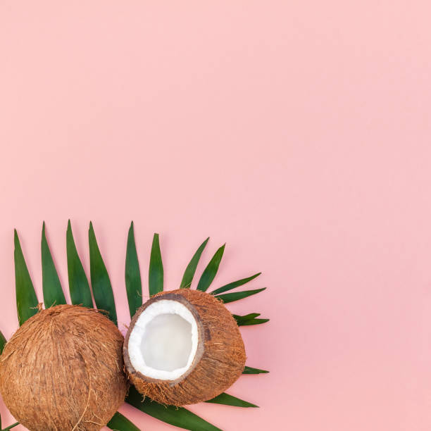 istock Palm leaves and coconuts on pink pastel background 1129183723