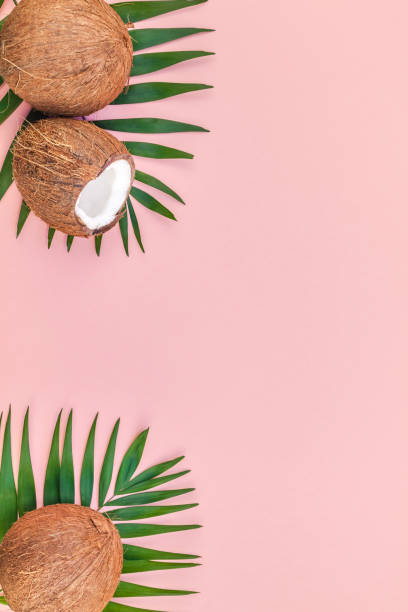 istock Palm leaves and coconuts on pink pastel background 1129183737