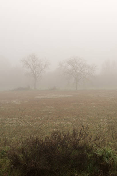 istock Landscape with fog 1129185463