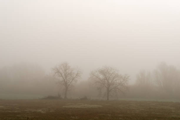 istock Landscape with fog 1129185467
