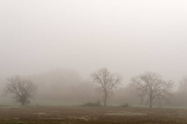 istock Landscape with fog 1129185476