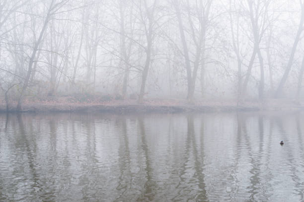 istock Landscape with fog 1129185484