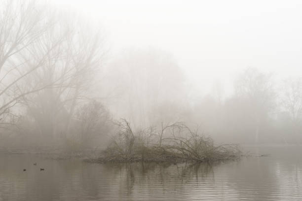 istock Landscape with fog 1129185493