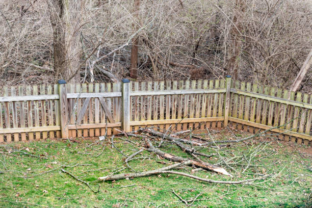 madera casa patio vallado con muchos ramas de los árboles caídos después de huracán de viento tormenta de invierno sobre la hierba con la madera desnuda fuera y nadie closeup - tree removing house damaged fotografías e imágenes de stock