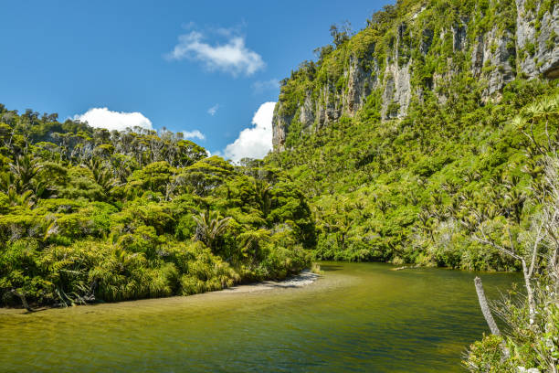 Incredible nature on Pororari River Track, New Zealand Incredible nature on Pororari River Track in West Coast, New Zealand punakaiki stock pictures, royalty-free photos & images