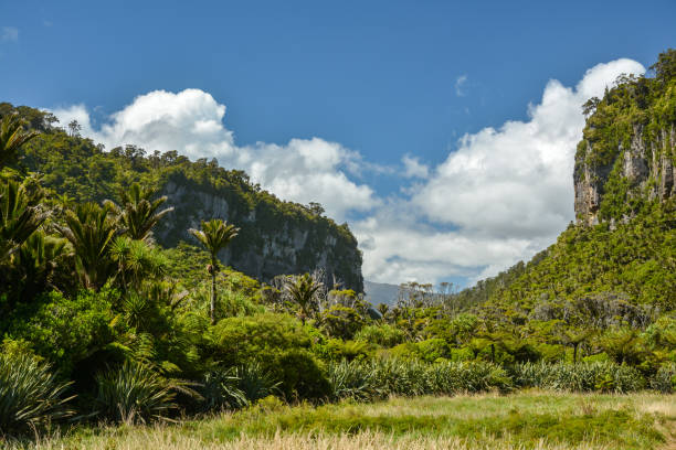 Beautiful hike on Pororari River Track near Punakaiki village Beautiful hike on Pororari River Track near Punakaiki village on New Zealand punakaiki stock pictures, royalty-free photos & images