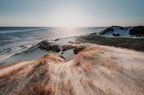 côte paysage île d’amrum - caractéristiques côtières photos et images de collection