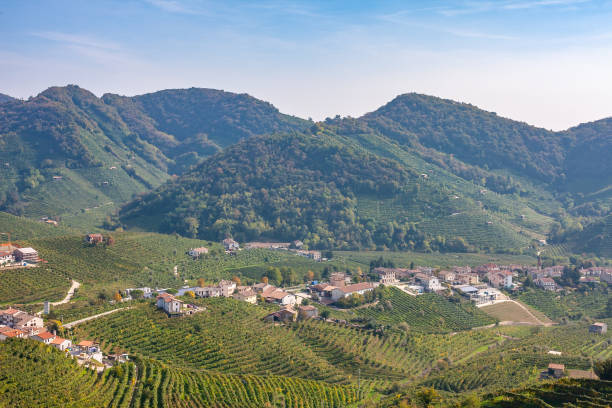 istock Prosecco Region of Italy 1129190592