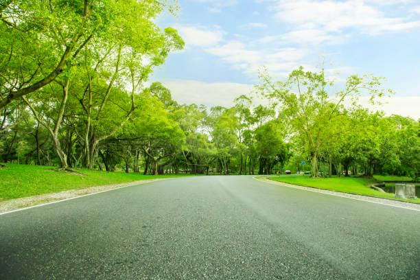 istock Blurred photo Park walkways with green trees  with morning sun. 1129192008