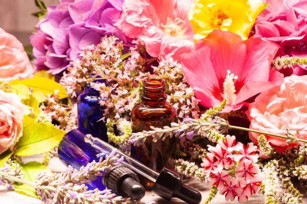 flores y botellas de aceites esenciales para aromaterapia - mortar and pestle lavender chamomile herb fotografías e imágenes de stock