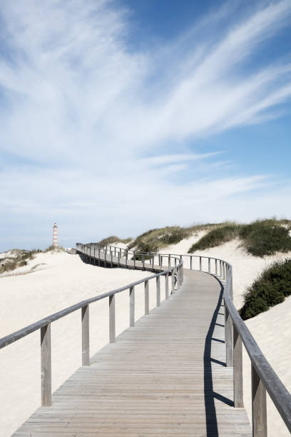 istock Wooden pier at beach 1129192636