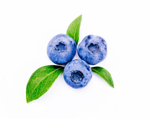 istock Freshly picked blueberries, isolated on white background. Juicy and fresh blueberries with green leaves. Concept for healthy eating and nutrition. 1129193502