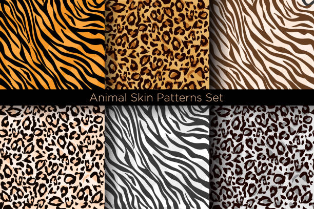 wektorowy zestaw ilustracji zwierzęcych wydruków bez szwu. kolekcja wzorów tygrysa i lamparta w różnych kolorach w stylu płaskim. - pattern animal tiger zebra stock illustrations