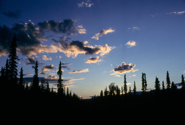 Wrangell-St. Elias NP - June Sunset