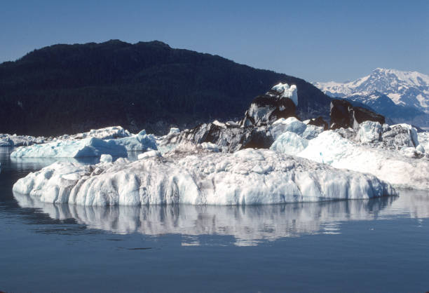 istock Prince William Sound - Ice Floe 1129195706