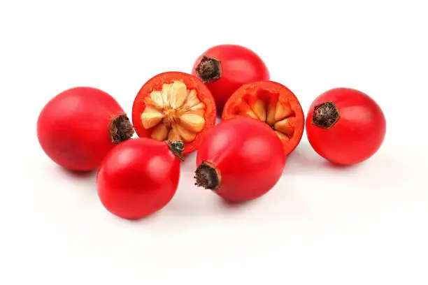 Rosehips ( Rosa Canina fruits ) , one cut in half, isolated on white background.