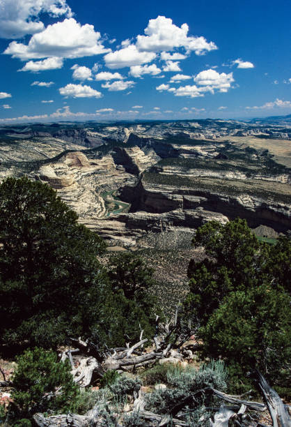 istock Dinosaur National Monument - Canyon View 1129196756
