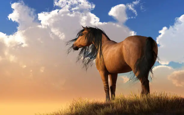 A horse with a light brown "Chestnut" coat stands on a grassy hillside watching the sunset.  A gentle breeze picks up its black mane and tail as it gazes into the distance. 3D Rendering