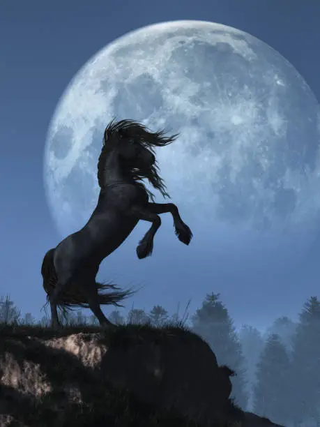Photo of Friesian and Full Moon