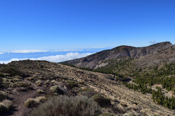 istock Teide national park in Tenerife 1129199144
