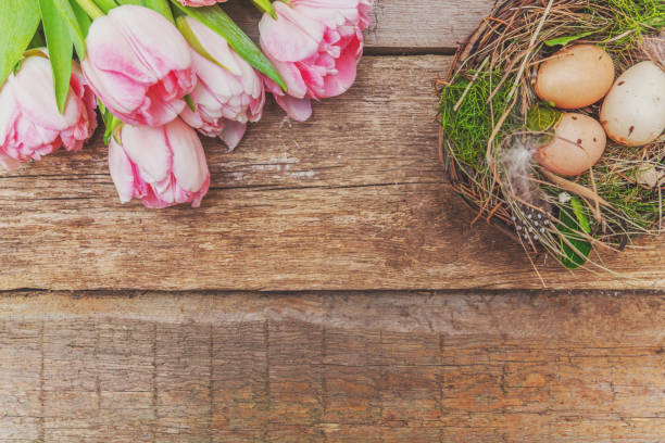 istock Easter eggs in nest with moss and pink fresh tulip bouquet on rustic wooden background 1129202862