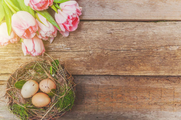 istock Easter eggs in nest with moss and pink fresh tulip bouquet on rustic wooden background 1129202877