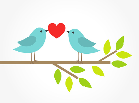 Couple of blue birds on tree branch with heart. Valentine's Day illustration