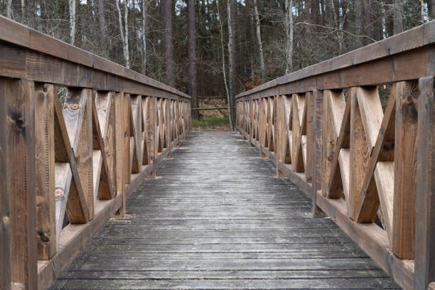 istock A solid wooden bridge over the forested wetlands. Forest reserve of forest bogs. Season winter. 1129207086