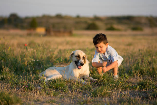 istock little boy loving dog in nature 1129210049