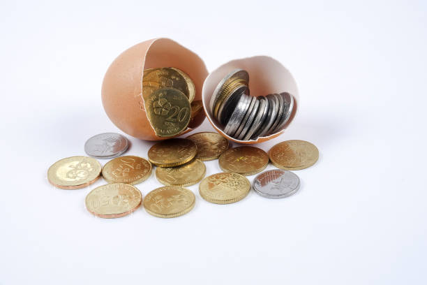 istock Close-Up Of Coins And Eggshell On White Background 1129210926