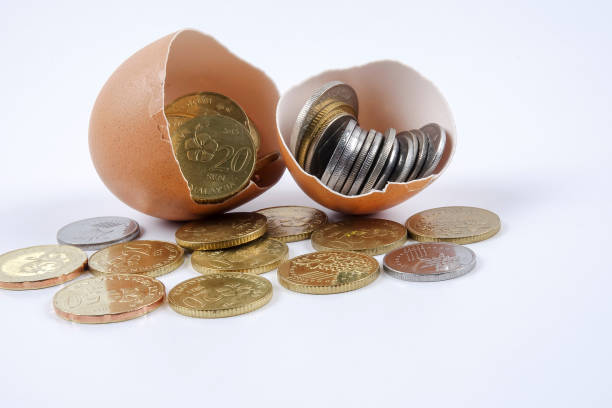 istock Close-Up Of Coins And Eggshell On White Background 1129210931