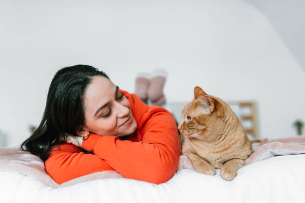 Young woman with her cat in bed stock photo
