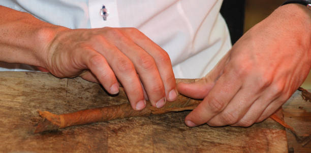 istock Production of handmade cigars. 1129211890